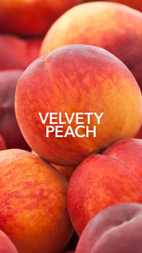 Macro peach photography, 'Velvety Peach' scent note