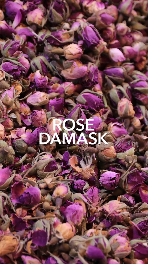 Dried rose buds, 'Rose Damask' scent note