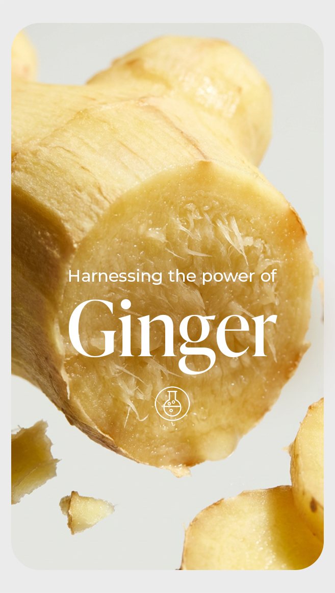 Macro ginger root photography