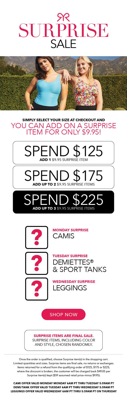 Ruby Ribbon Surprise Sale email, spend tiers unlock a surprise item